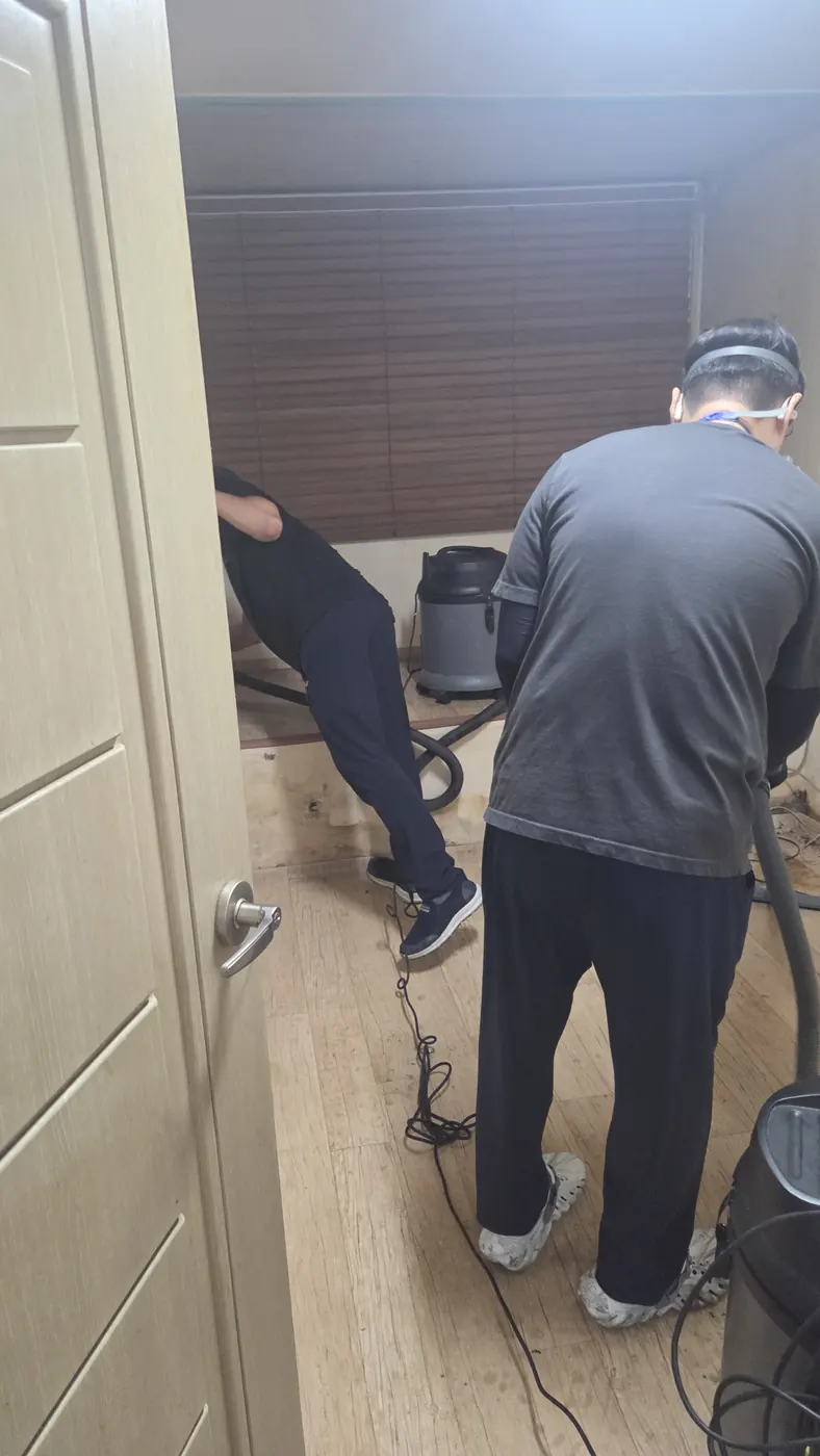 습식 진공 작업 — 가평군 침수청소 현장