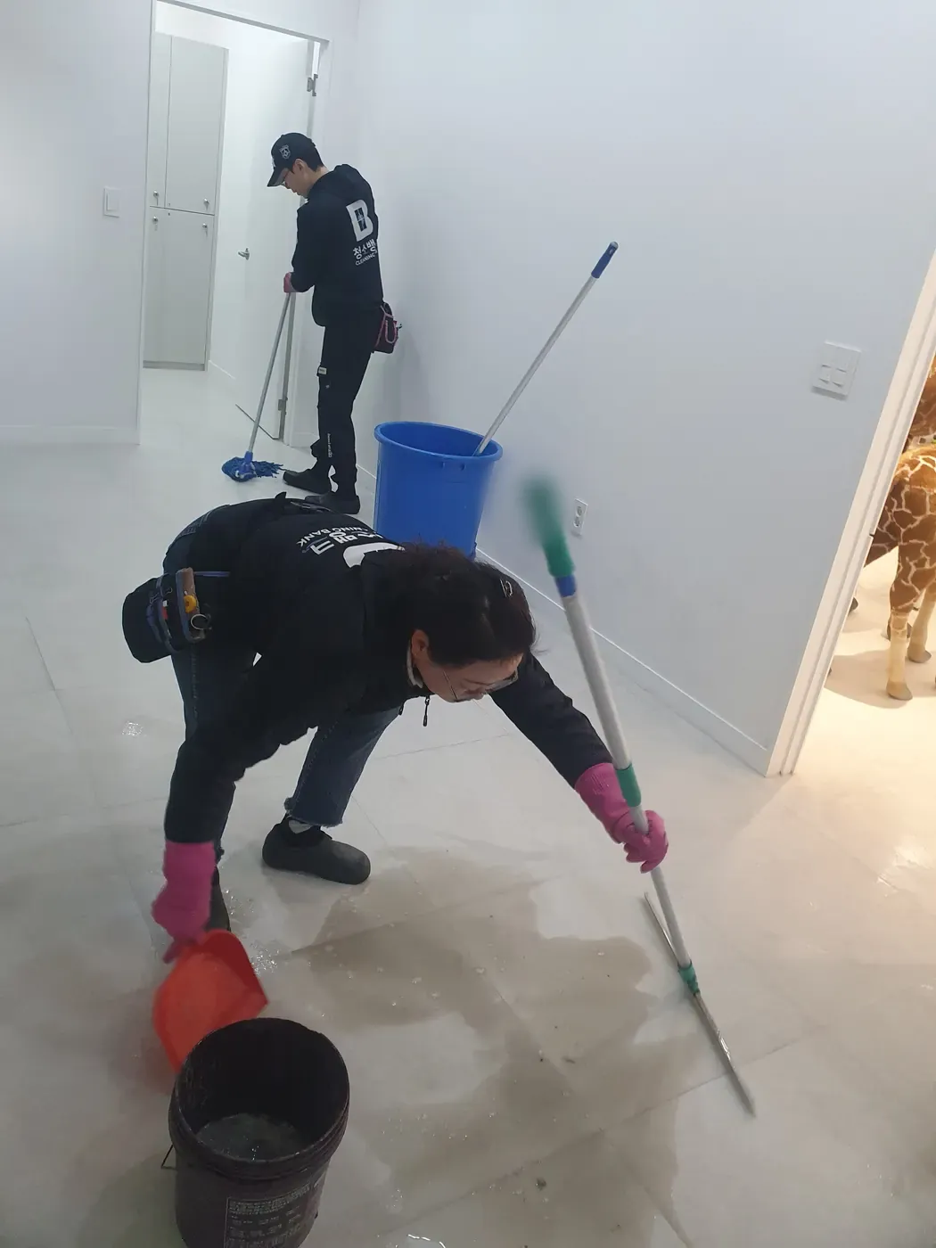 세정 진행 — 목동동 병원청소 현장